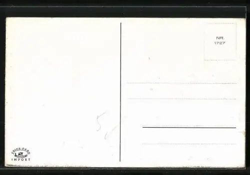 AK Plauderstündchen, Klatschmäuler am Telefon