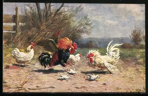 Künstler-AK Hähne bei einem Rangkampf