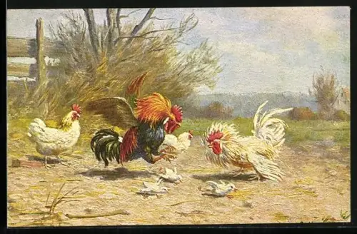Künstler-AK Kämpfende Hähne