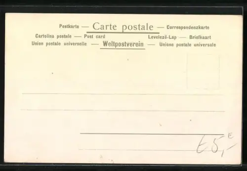 AK König Alberts Paradiesvogel im Flug um 1900