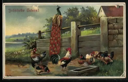 Künstler-AK Alfred Schönian: Hühner an der Tränke, ein Pfau auf dem Zaun