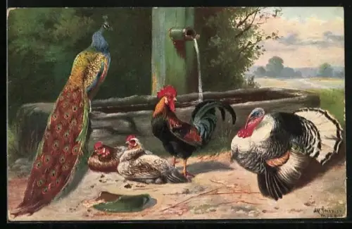 Künstler-AK Alfred Schönian: Pfau mit Hahn, Hennen und Truthahn am Brunnen