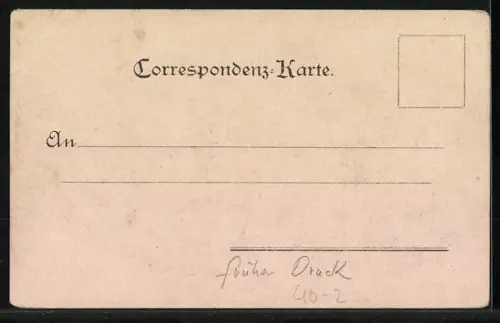 Lithographie Schnatternde Gänse laufen über eine Wiese, Da schick ich Dir Ganserl, Dick, dünn, gross..., früher Druck