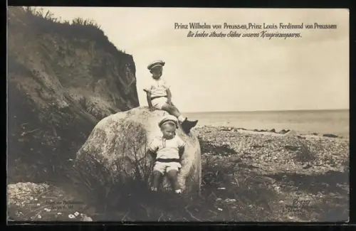 AK Prinz Wilhelm und Prinz Louis Ferdinand, die ältesten Söhne von Kronprinz Wilhelm von Preussen