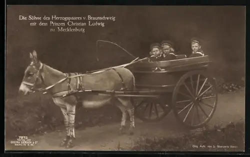 AK Söhne des Herzogspaares v. Braunschweig mit dem Prinzen Christian Ludwig zu Mecklenburg