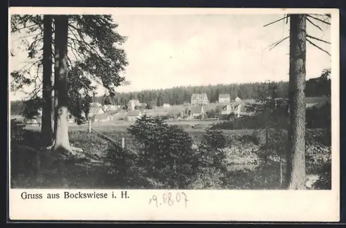 AK Bockswiese i. H., Ortsansicht mit Wald und Häusern