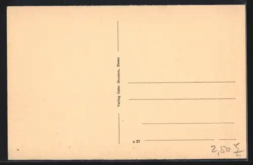 AK Essen, Städt. Saalbau