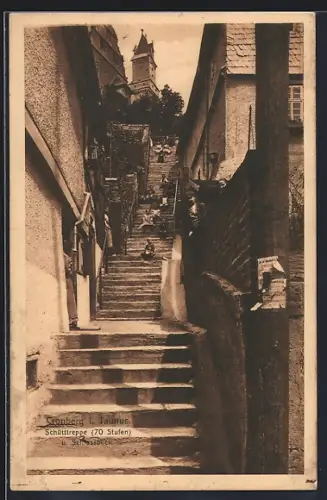 AK Cronberg i. Taunus, Schütttreppe und Schlossblick