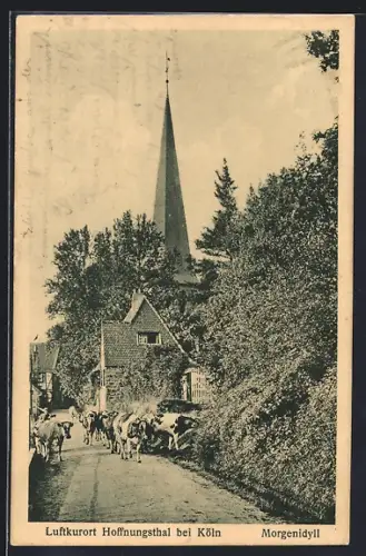 AK Hoffnungsthal, Strassenpartie mit Kühen am Morgen