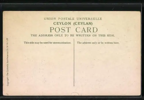 AK Negombo, Dutch Canal, Boot, Floss