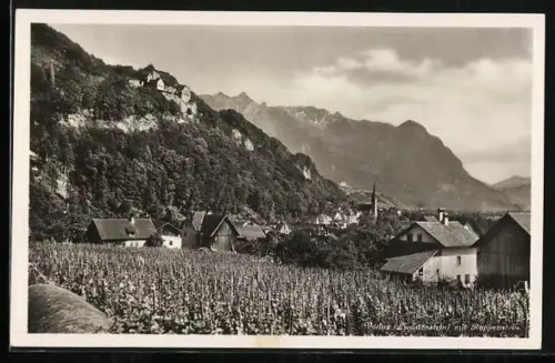 AK Vaduz, Teilansicht mit Rappenstein