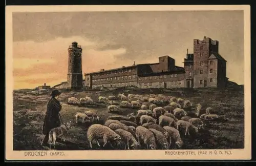 AK Brocken / Harz, Blick auf Brockenhotel und Schäfer mit Schafsherde