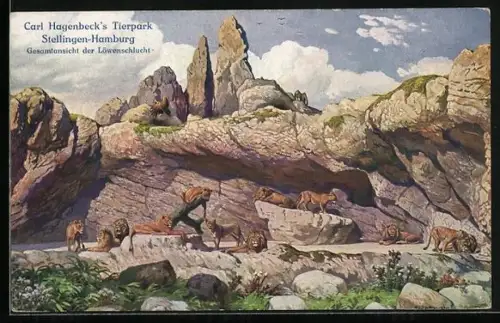 AK Stellingen, Carl Hagenbeck`s Tierpark, Gesamtansicht der Löwenschlucht
