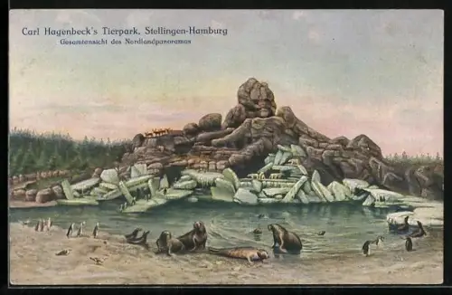 AK Hamburg-Stellingen, Carl Hagenbeck's Tierpark, Gesamtansicht des Nordlandpanoramas, Walrösser, Robben, Pinguine