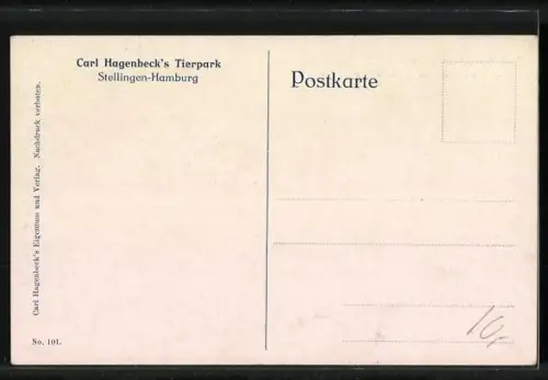 AK Hamburg-Stellingen, Carl Hagenbeck's Tierpark, Gesamtansicht des Nordlandpanoramas, Walrösser, Robben, Pinguine