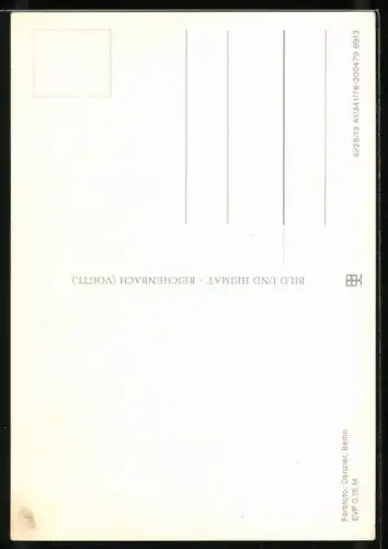 AK Frau Elster mit Hut