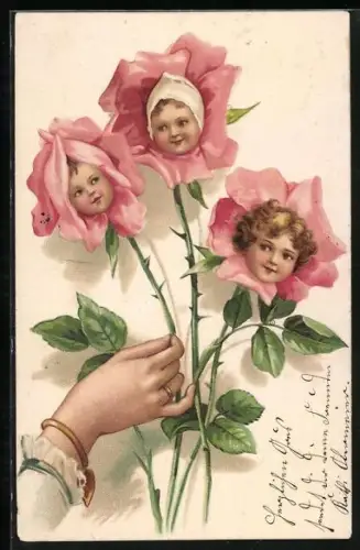 Lithographie Möcht` Dich pflücken holdes Röslein..., Blüten mit Köpfen