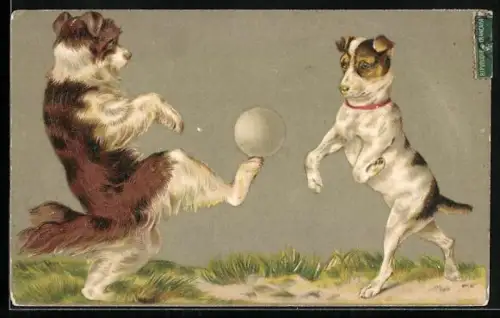 AK vermenschlichte Hunde spielen Fussball
