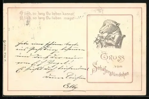 AK Schaf beim Stricken, vermenschlichte Tiere