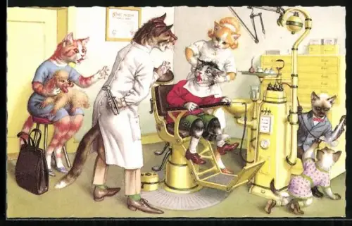 AK Ängstliche Katze beim Zahnarzt