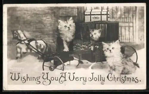 AK Katzen mit Pferdegespann, Weihnachtsgruss, vermenschlichte Tiere