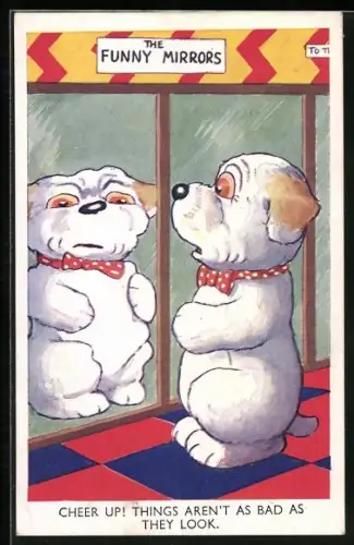 AK Hund betrachtet sich entsetzt in einem verzerrten Spiegel