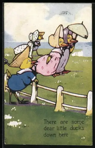 AK Küken-Kavalier bewundert elegante Kükendamen