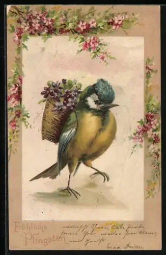 Präge-Lithographie Blaumeise mit Blumenkorb auf dem Rücken, Pfingstgruss
