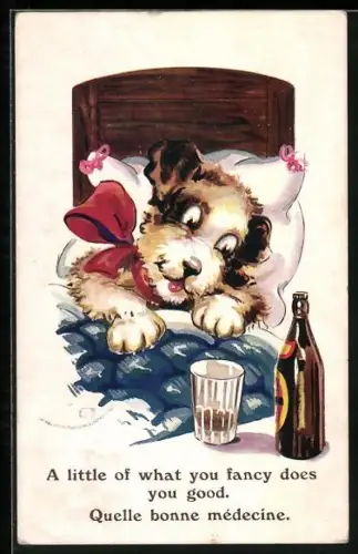 AK Hund im Bett mit Bierflasche und Glas