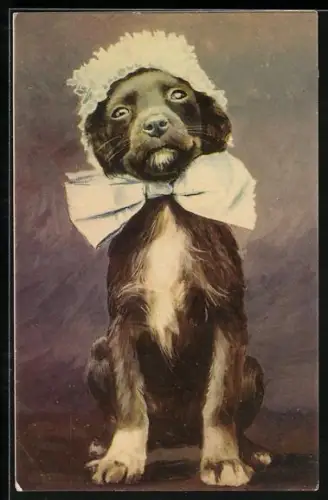AK Sitzender Hund mit Mütze und Schleife