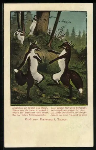 AK Fuchstanz im Taunus, Tanzende Füchse, geigende Feen