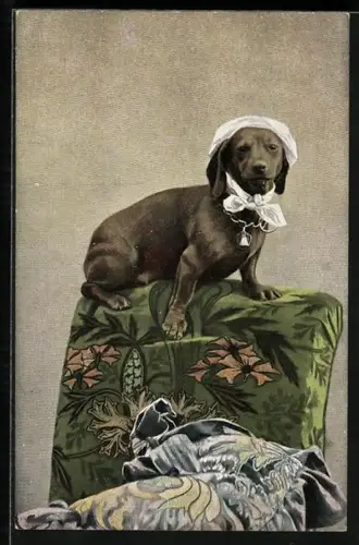 AK Hund mit Kopfbedeckung und Schleife auf einer Sessellehne
