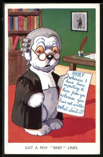 AK Hund als Jurist im Talar mit Perücke und Brille
