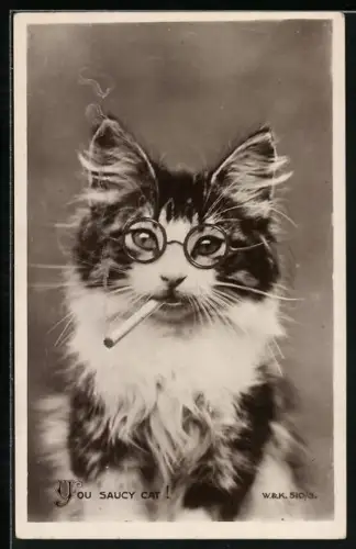 AK Katze mit Brille und Zigarette