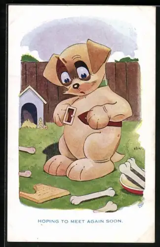 AK Hund ist zu dick für seinen Gürtel geworden