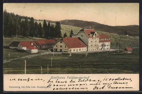 AK Feldberg / Schwarzwald, Gasthaus Feldbergerhof