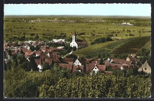 AK Auggen, Ortsansicht mit Kirche und Weinbergen