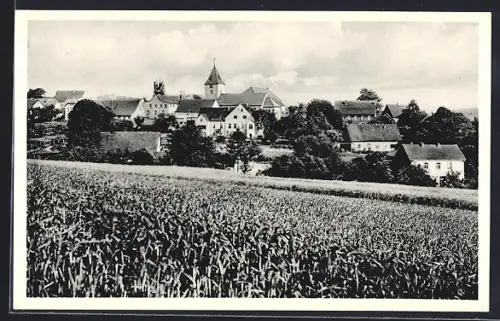 AK Borgloh /Teut. Wald, Ortsansicht mit Kirche und Feldern