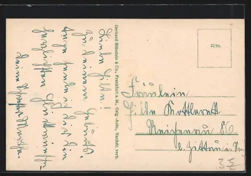 AK Frankfurt a. M., Totalansicht, Opernhaus, Römer