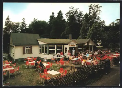 AK Fuchstanz /Königstein, Gasthaus Fuchstanz, Inh. Hans Brendel, Aussenansicht, Biergarten