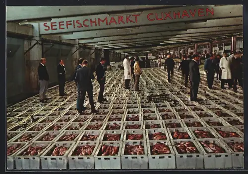 AK Cuxhaven, Seefischmarkt, Fischauktion