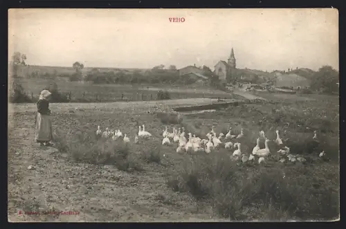 AK Veho, Paysanne avec troupeau d`oies près du village