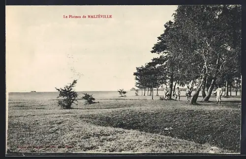 AK Malzéville, Le Plateau de Malzéville avec des arbres et des promeneurs