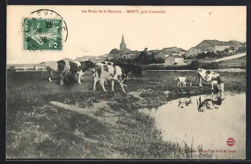 AK Mont prés Lunéville, Les Rives de la Meurthe avec vaches et village en arrière-plan