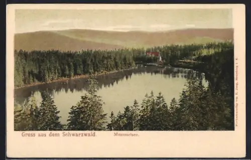 AK Mummelsee /Schwarzwald, Seepartie mit Gebäude