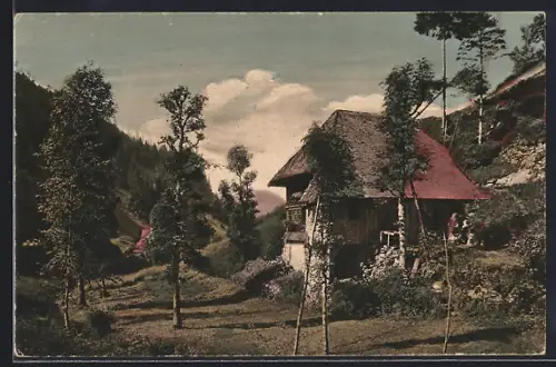 AK Furtwangen / Schwarzwald, Haus in Hexenloch