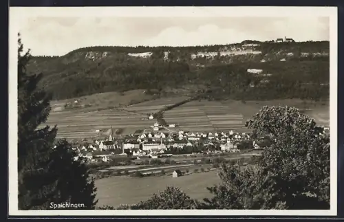 AK Spaichingen, Ortsansicht mit Berg und Landschaft