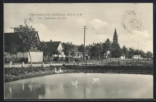 AK Friedrichsbrunn /Ostharz, Dorfstrasse mit Teich