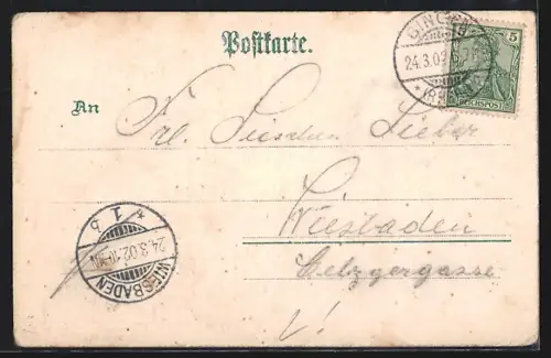 Lithographie Bingen / Rhein, Ruine Ehrenfels