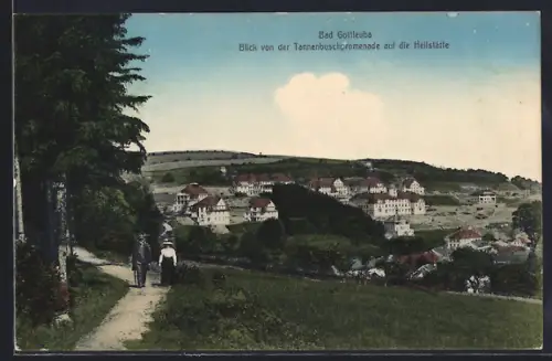 AK Bad Gottleuba, Blick von der Tannenbuschpromenade auf die Heilstätte